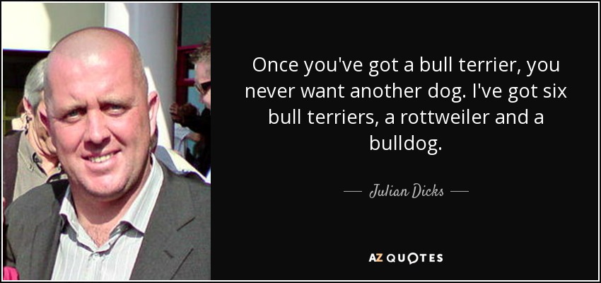 quote-once-you-ve-got-a-bull-terrier-you-never-want-another-dog-i-ve-got-six-bull-terriers-julian-dicks-60-12-97.jpg