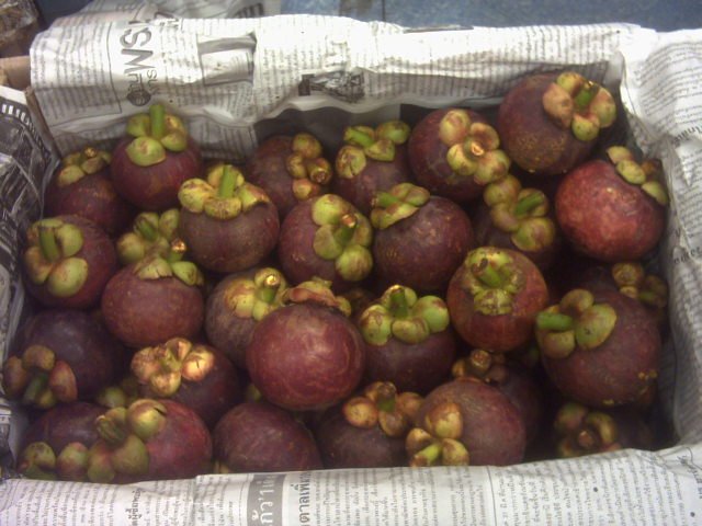 Fresh_Fruits__Mangoes__Mangosteen__Rambutan__Longan__Etc.jpg