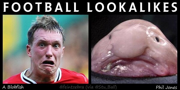 football-lookalikes-phil-jones-blob-fish.jpg