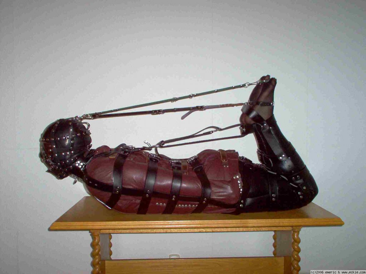 emeric_hogtied3.jpg