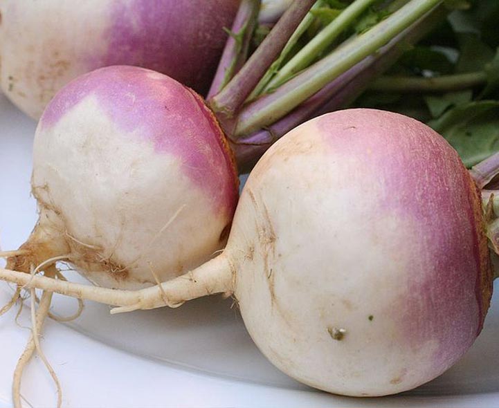 Turnip-C.jpg