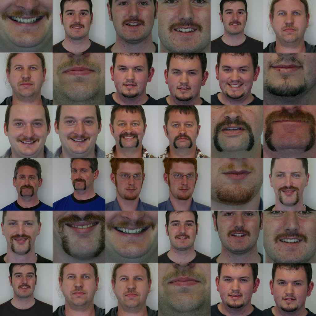 movember2.jpg