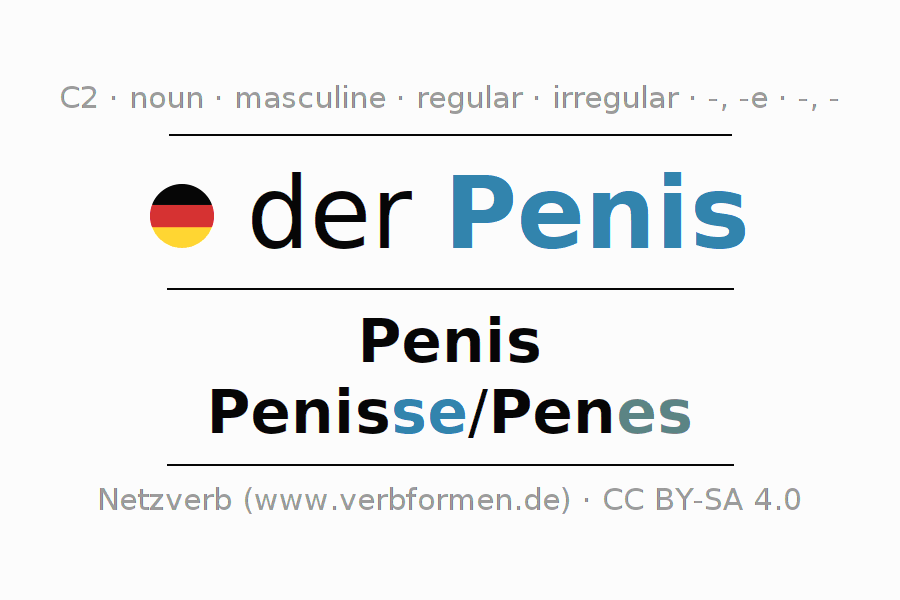 Penis.png