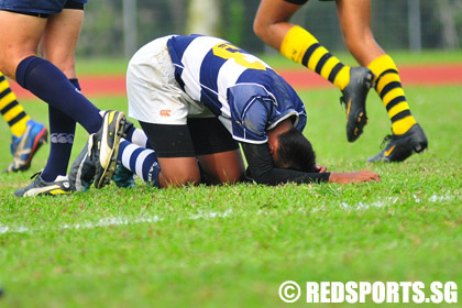 cdivrugbysf2011_1.jpg