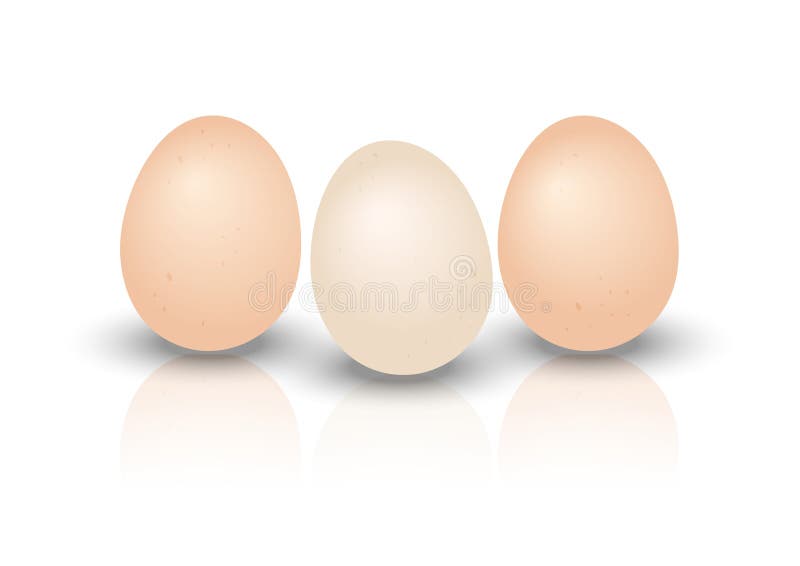 three-eggs-isolated-white-background-vector-illustration-64851313.jpg