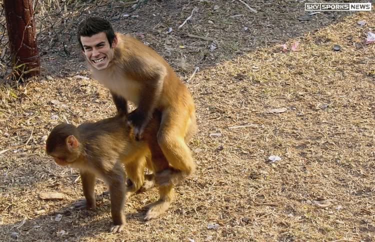 monkey_bale.jpg